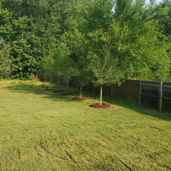 Award-Winning Custom Home Builder in Alexandria & Fairfax