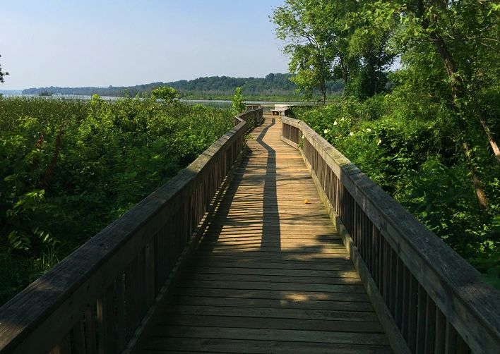 Dyke-Marsh Park Trail 8.1.23 - Wakefield Homes LC Award-Winning Custom Home Builder in Alexandria & Fairfax